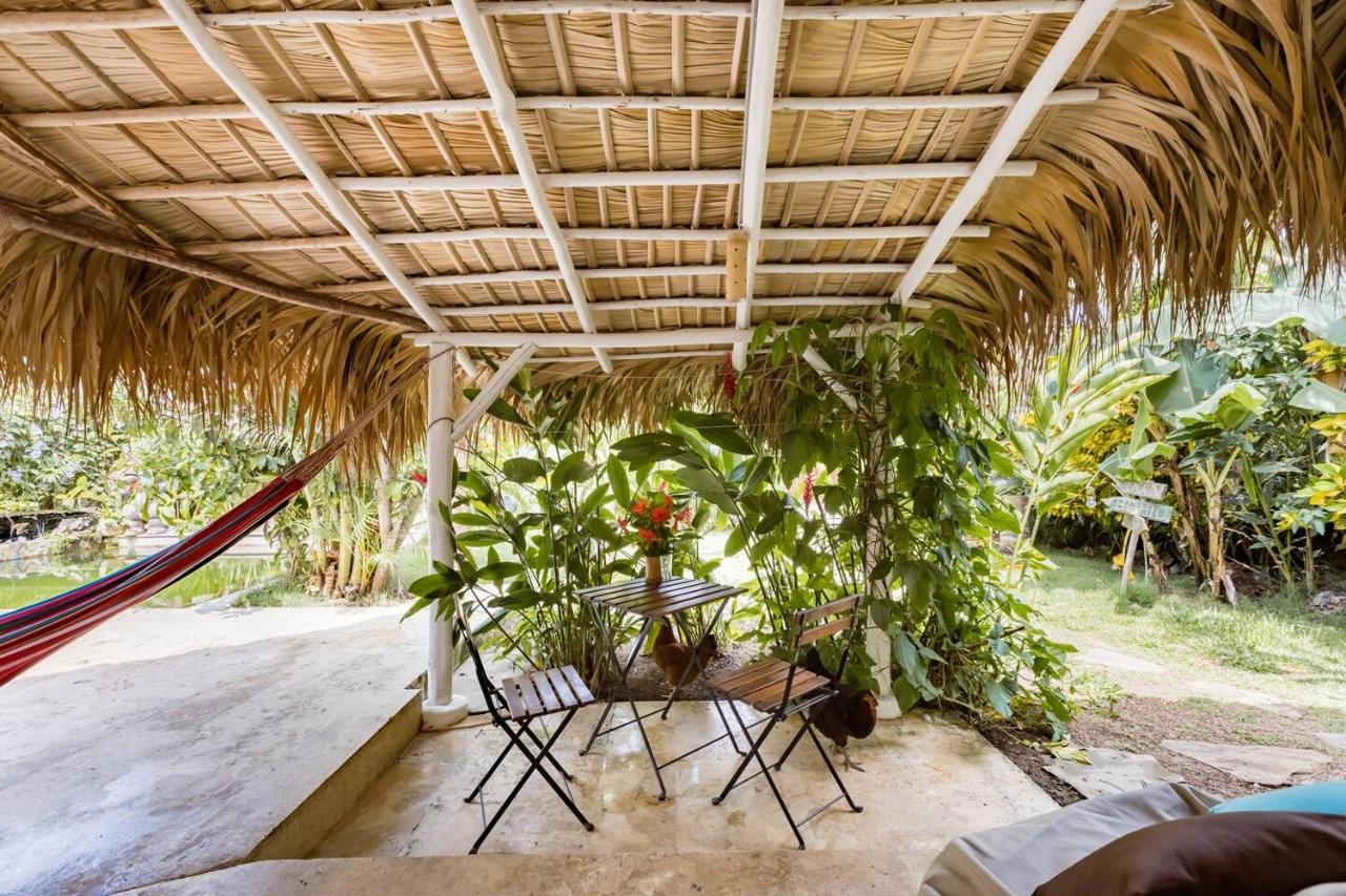Bed and Breakfast Casa Picaflor Лас Терренас Экстерьер фото